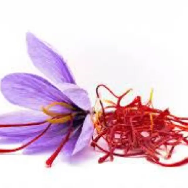 Le pistil de l'étoile. Production de Safran_Sospel