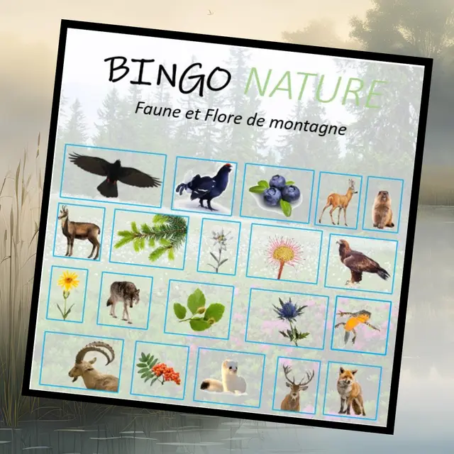 Bingo nature : A la découverte de la faune et de la flore des montagnes_La Giettaz