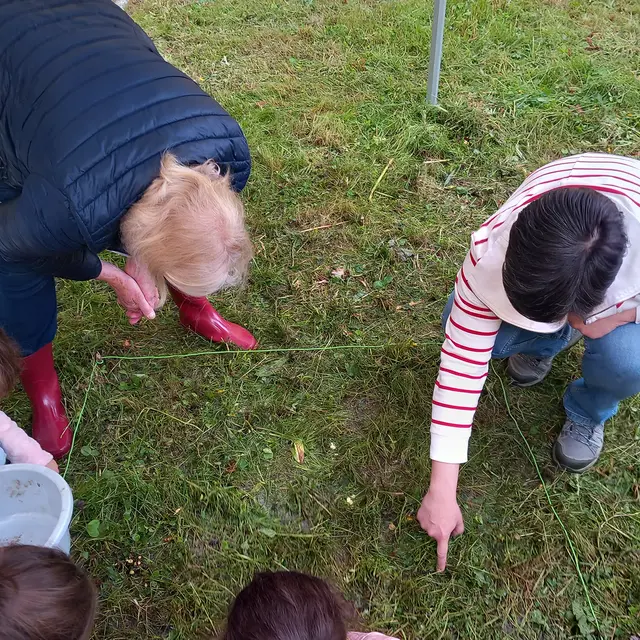 Fête de la nature : atelier « Rendre visible l’invisible » (Thônes ...