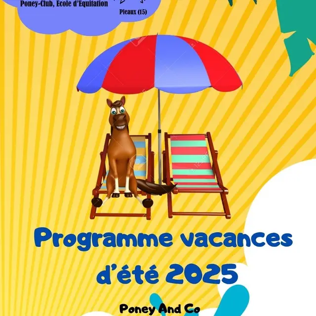 Les vacances d'été avec Poney and Co..._Pleaux