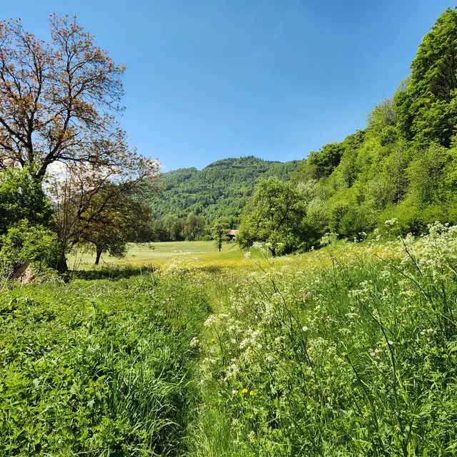 Randonnée Le Tour des Oratoires de Mégevette_Mégevette