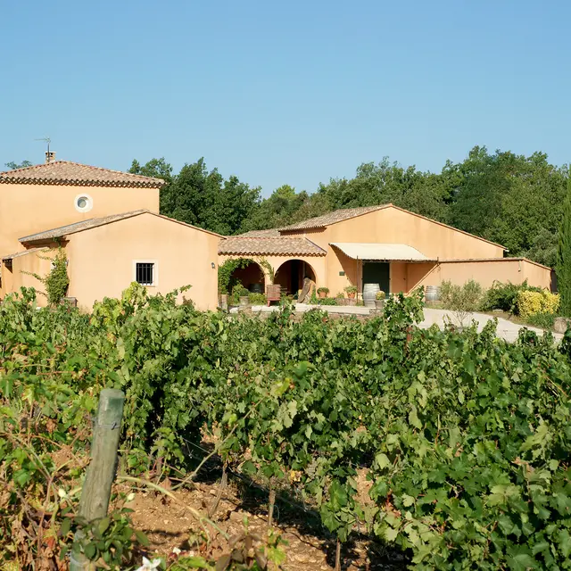Domaine de la Fouquette_Les Mayons