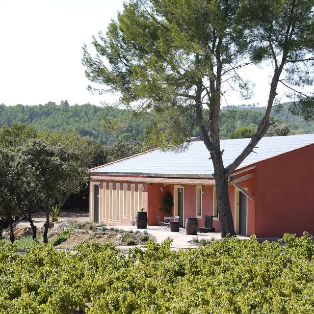 Château de Nestuby - Cotignac