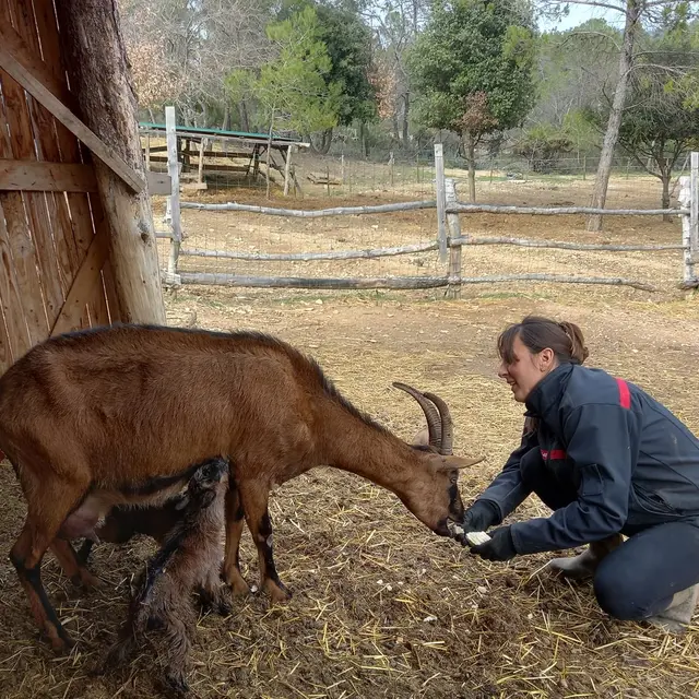 La ferme de Mia_Tourves