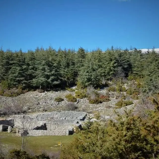 Les Jas du Ventoux - 3ème édition_Bédoin