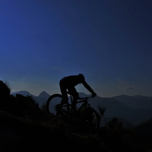 VTT