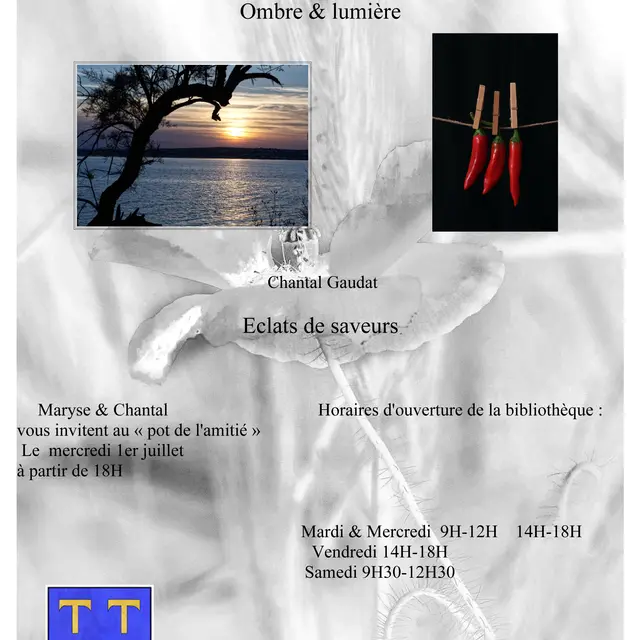 Exposition Ombres et Eclats_Beaumes-de-Venise