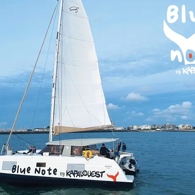 Catamaran à voile de Blue Note by Kapalouest