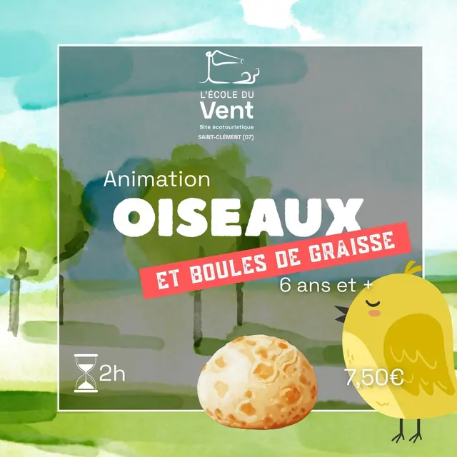 Oiseaux et boules de graisse