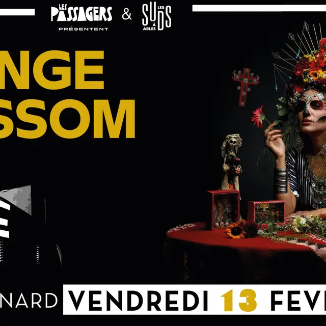 Orange Blossom_Châteaurenard