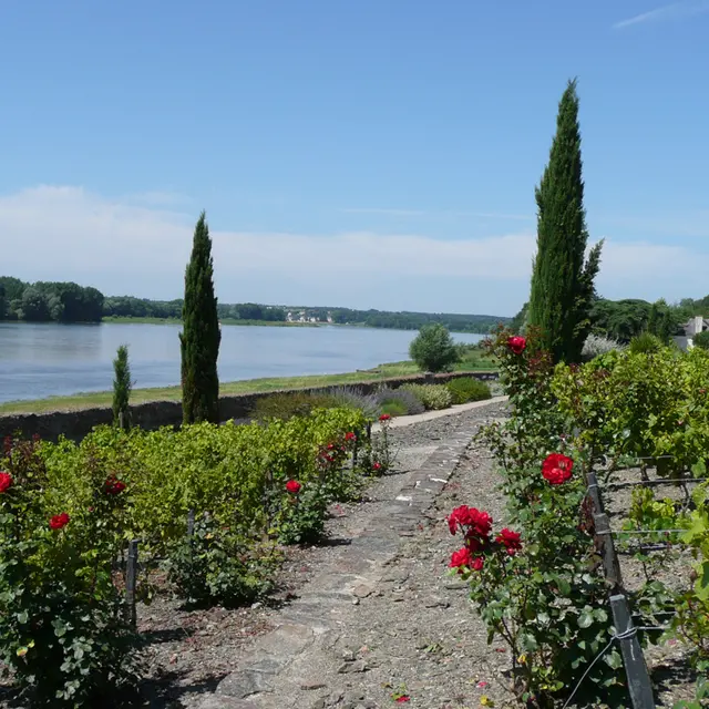 angers-val-de-loire-sainte-gemmes-sur-loire