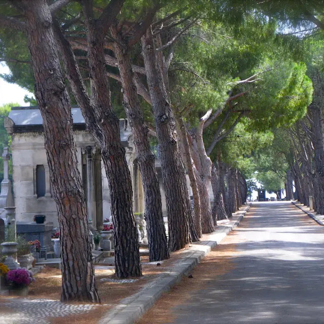 Cimetière Saint Pierre à Marseille