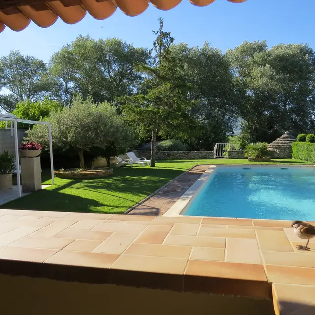 Petit Coin de Paradis