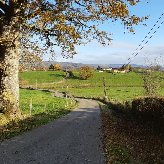 Balade autour de Pirajoux