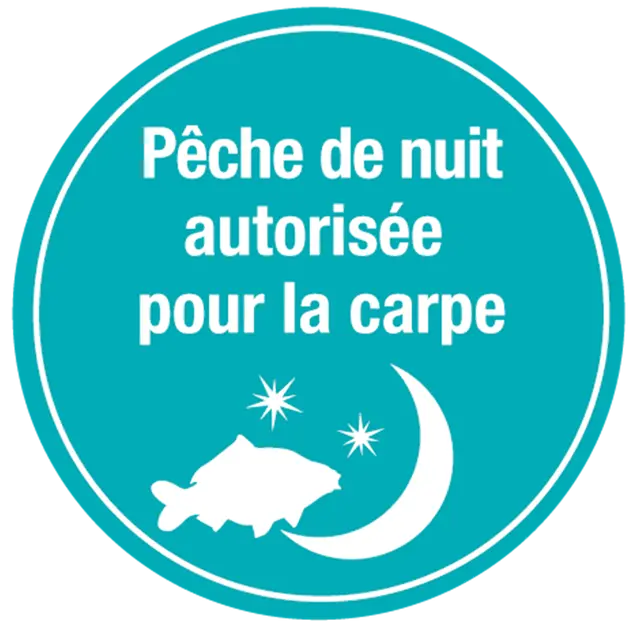 Pêche à la carpe en Tarn et Garonne - Nocturne