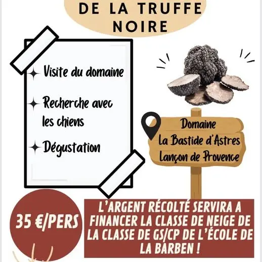 A la découverte de la truffe noire_La Barben