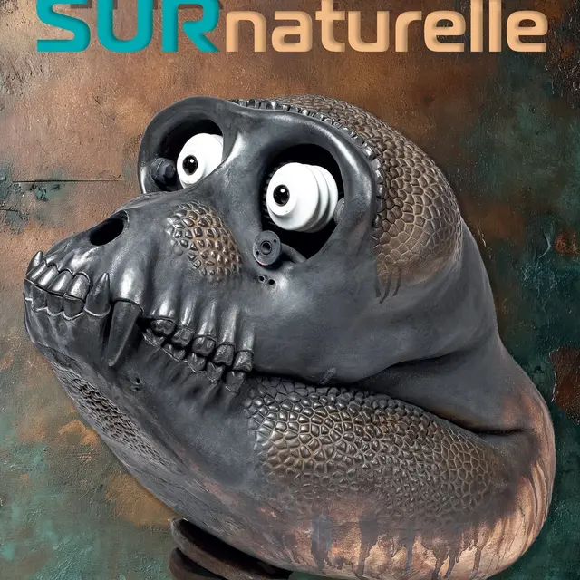 Histoire SURnaturelle - exposition_Montbrison