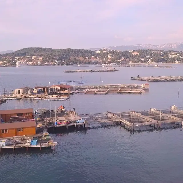 Ferme marine Hydraloup et Stand du Pêcheur