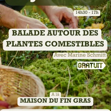 Balade autour des plantes comestibles_Chaudeyrolles