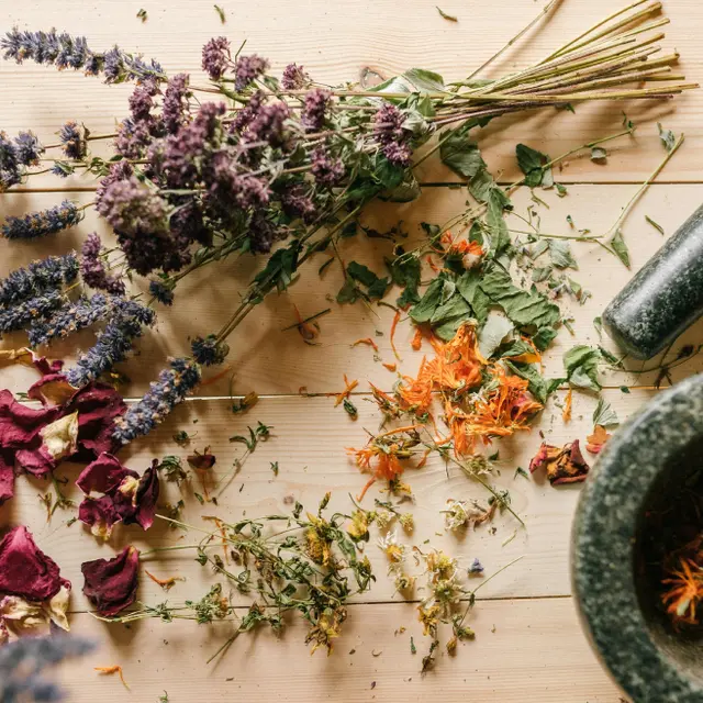 Au labo du château :  Pfizherbes_Sallanches