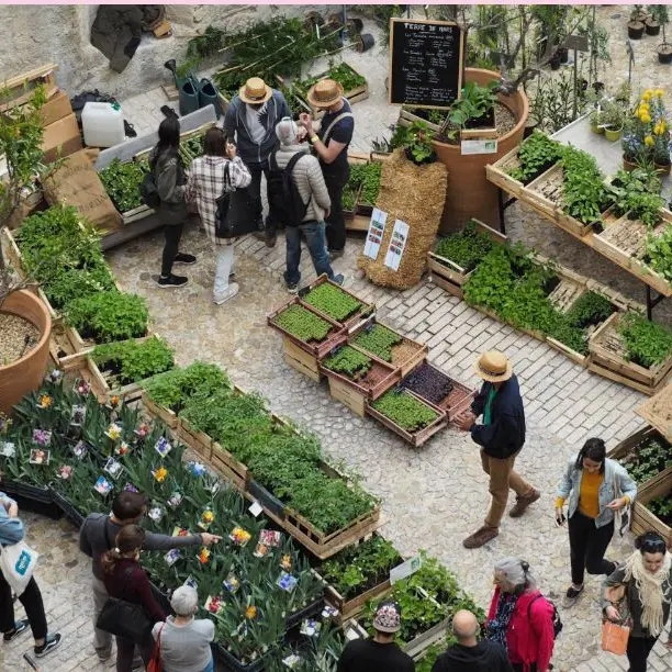 Fête des Plantes Mucem