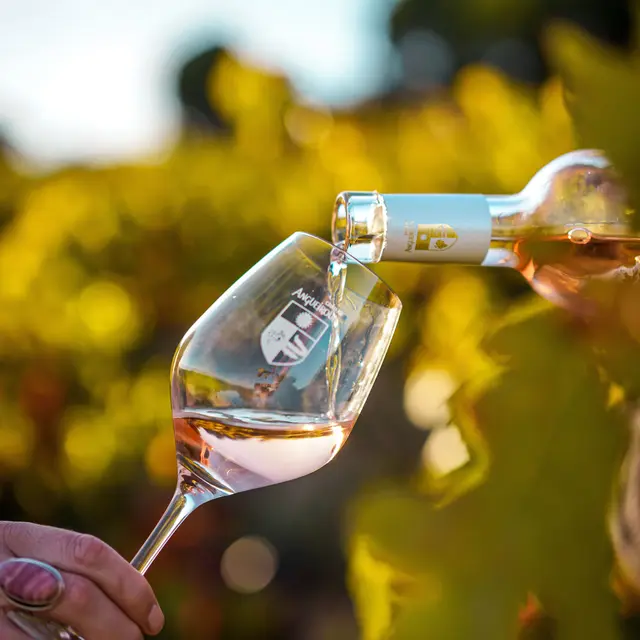 Les Apéros au Château Angueiroun_Bormes-les-Mimosas