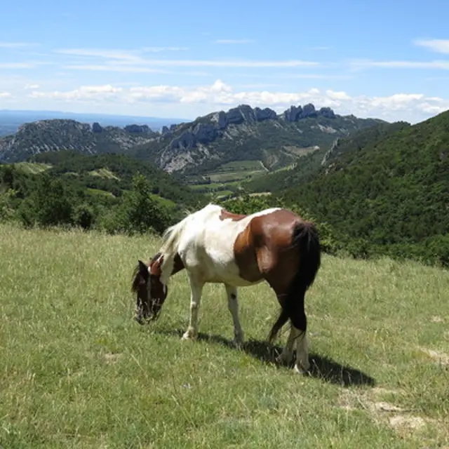 Lafare à cheval
