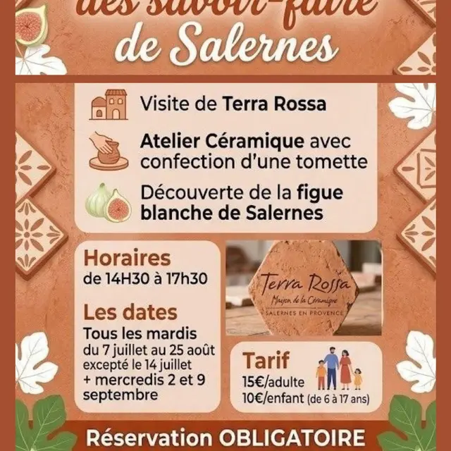 Visites guidées : Au cœur du terroir salernois_Salernes