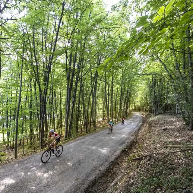 Montée du Col de Fontbelle par Thoard_Thoard
