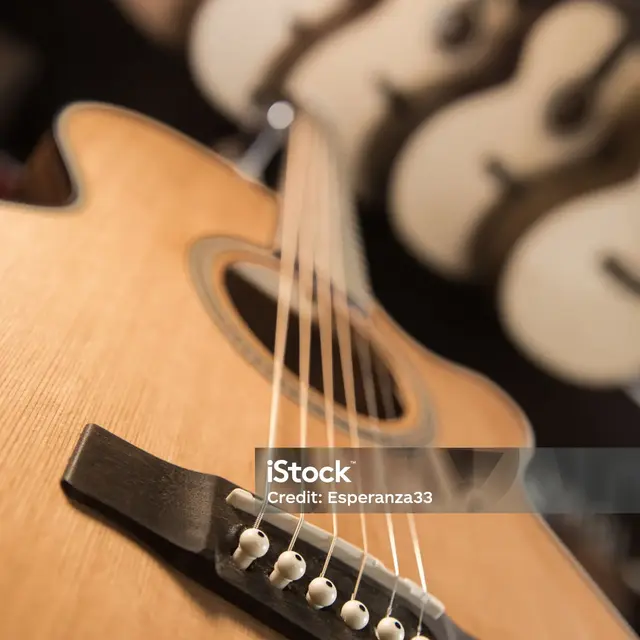 Concert avec la Viet'anim_Saint-Martin-Vésubie