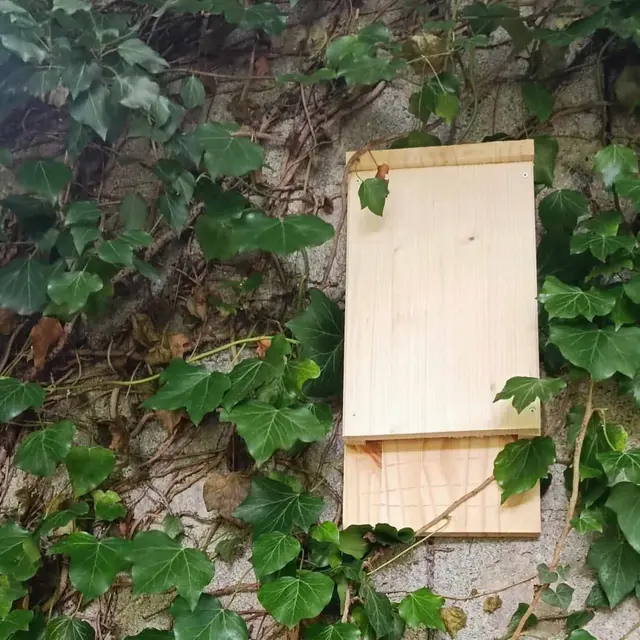 Animation nature: Construction de gîte à chauves-souris_Prévessin-Moëns