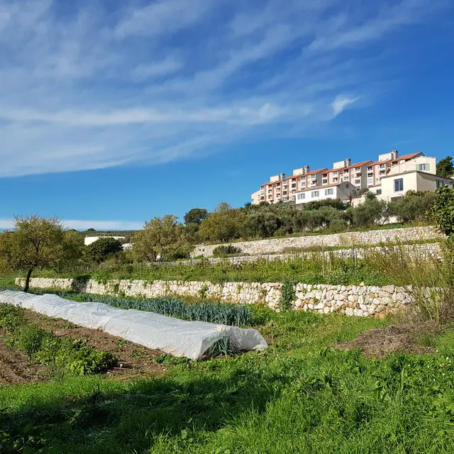 Potager en restanques