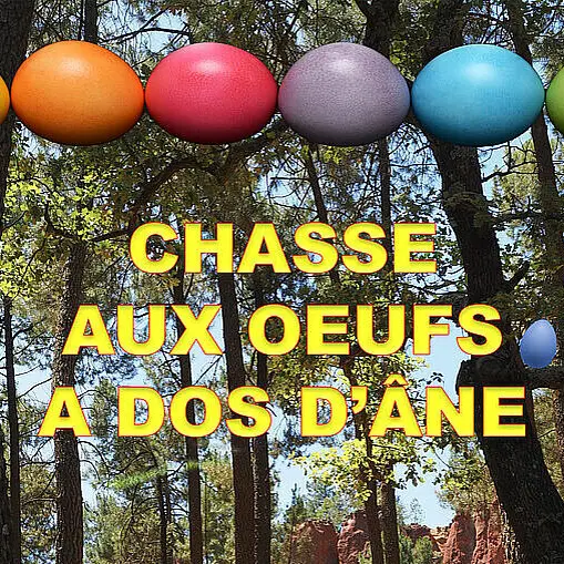 Chasse aux oeufs à dos d'âne_Saint-Raphaël