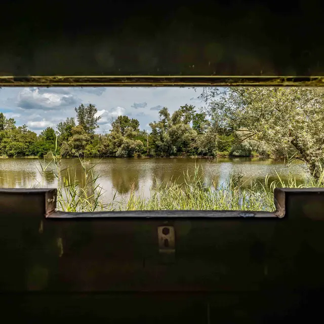 La Gravière aux Oiseaux en soirée_Mably