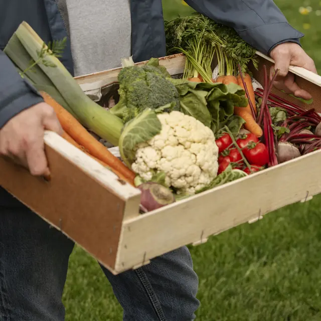 Le panier des productrices_Verdun-sur-Garonne