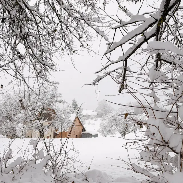 Visite guidée de la station-village de Thollon-les-Mémises_Thollon-les-Mémises