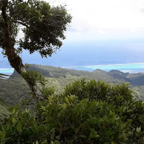 Raiatea Randonnée - Tahiti Tourisme