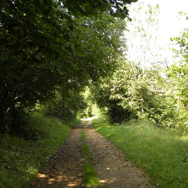 Chemin de randonnée à la Chabanne