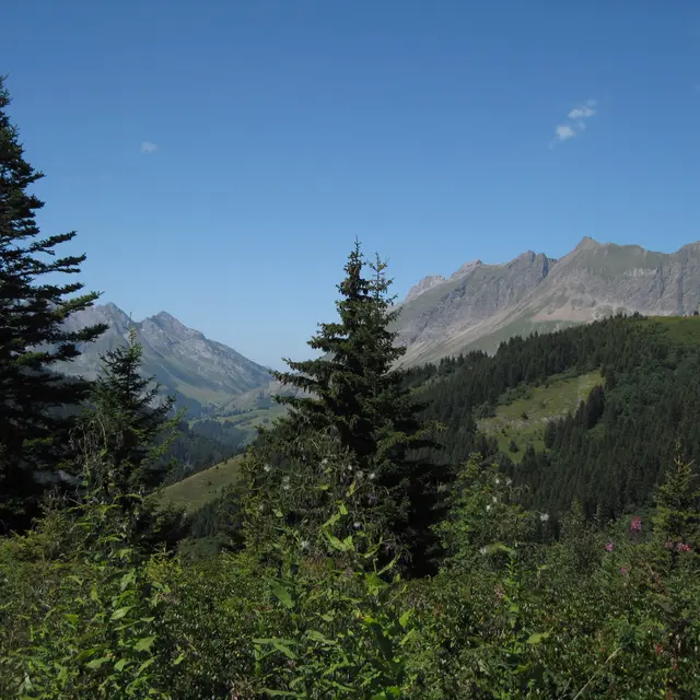 Sentier-du-Tétras-Lyre-au-J