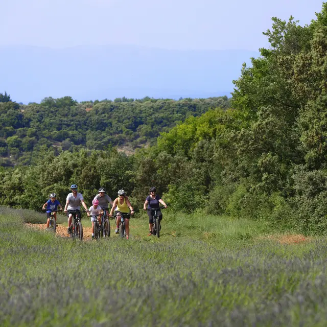 Circuit VTT 18 Provence Verdon