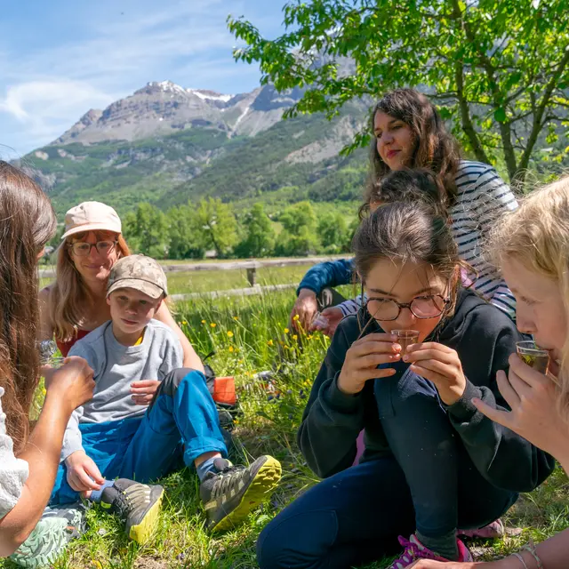 Alp'Agaga Balade pique-nique artistique en compagnie des alpagas_Vallouise-Pelvoux