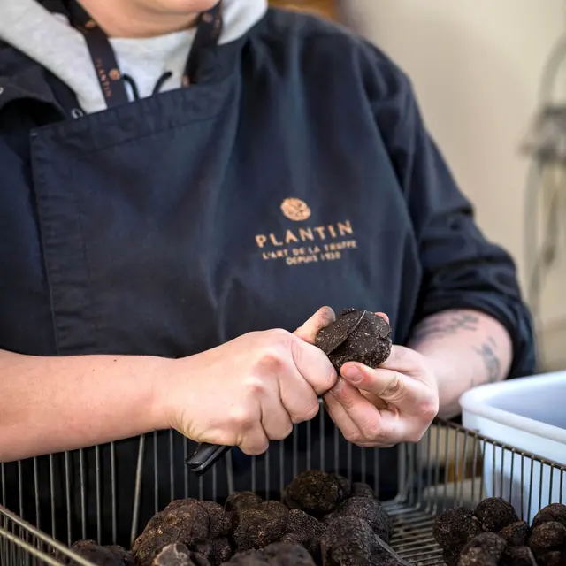 Journée portes ouvertes à la Maison Plantin Truffes_Puyméras