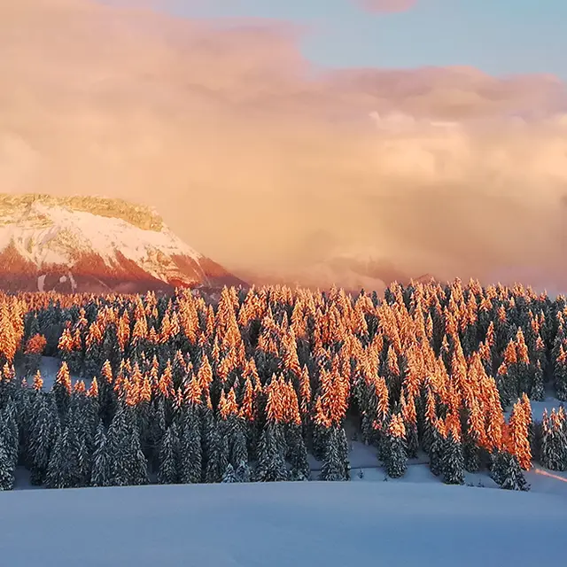 Tour des Bauges raquettes en liberté