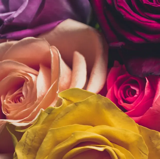 Université du Temps Libre Buëch Durance