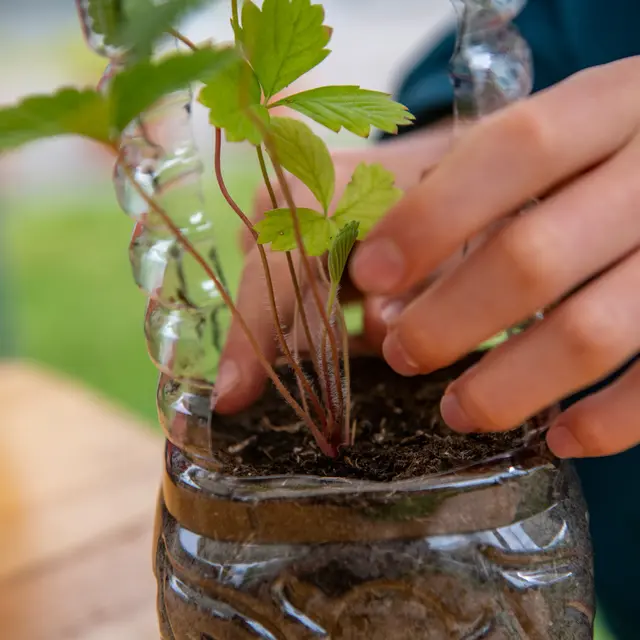 Atelier créatif : bonhomme gazon_Annecy