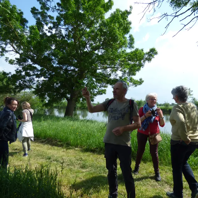 Stage cueillette sauvage Angers