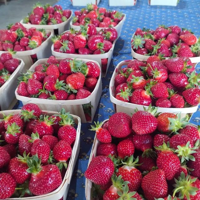 Le beau vallon_Carpentras