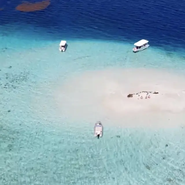 Tātahi Tours