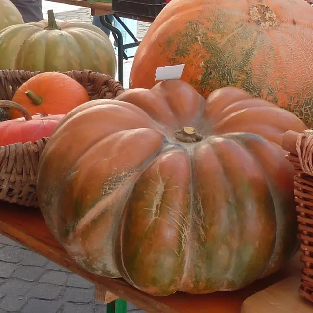 54ème Foire concours agricole de la Haute Tinée_Saint-Étienne-de-Tinée