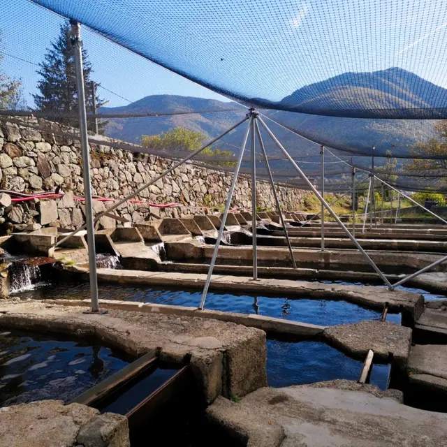 Bassins de la pisciculture Les Chutes d'Aston